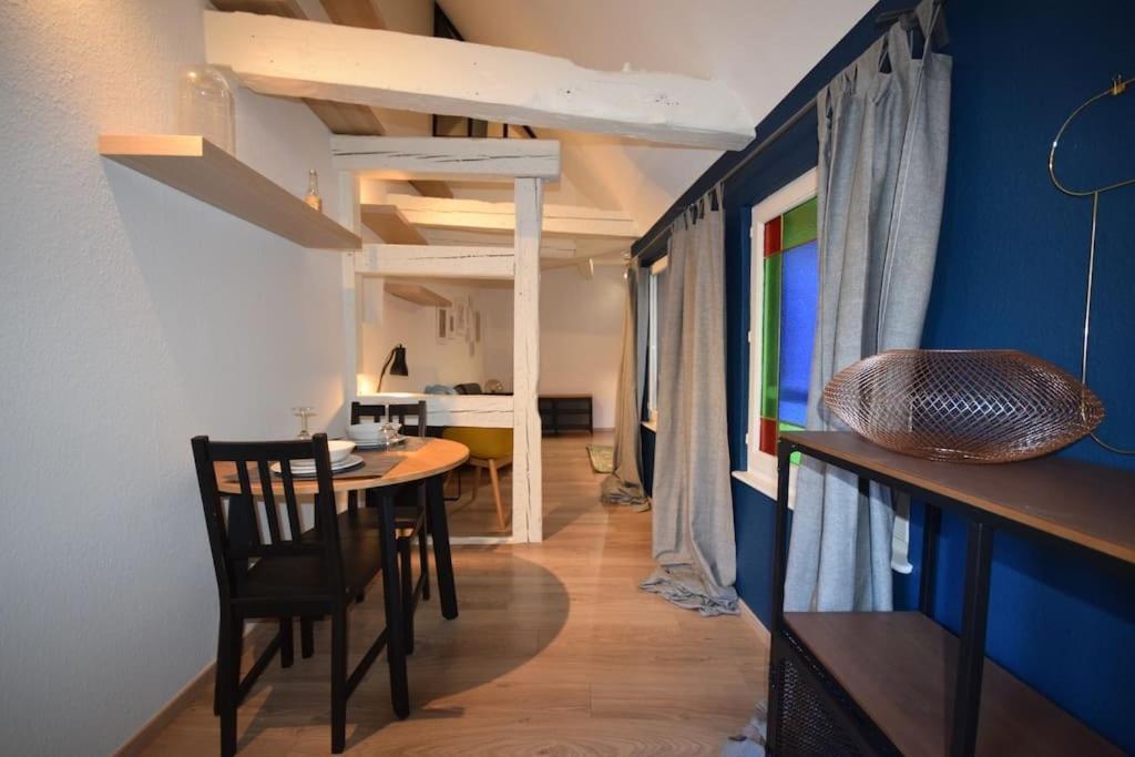 Le Studio Du Quai Des Pecheurs - Charmant Duplex Sur Les Quais Strazburg Dış mekan fotoğraf