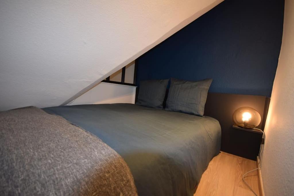 Le Studio Du Quai Des Pecheurs - Charmant Duplex Sur Les Quais Strazburg Dış mekan fotoğraf